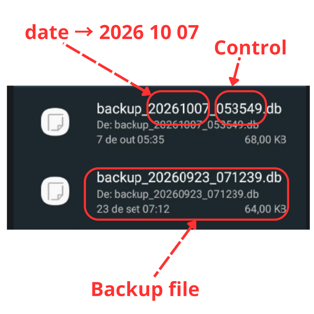 backup name format